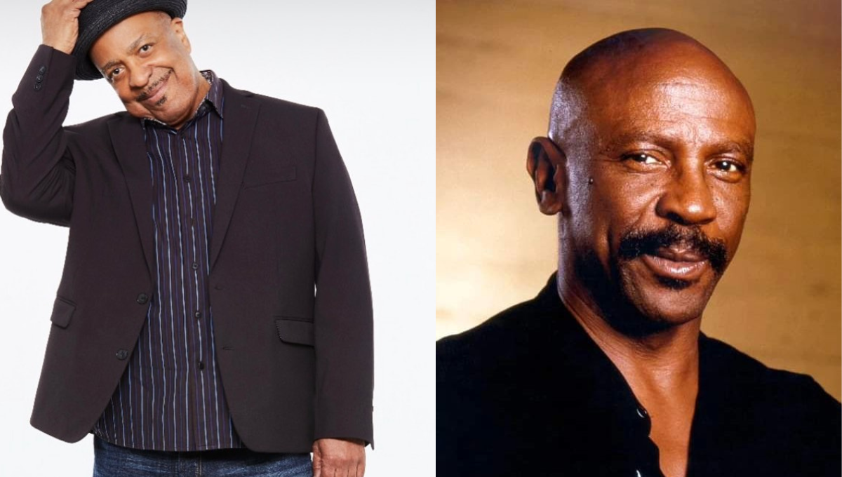 American Actor Robert Gossett And Louis Gossett, Both Of Them Owe Familial Connection American Actor Robert Gossett And Louis Gossett, Both Of Them Owe Familial Connection