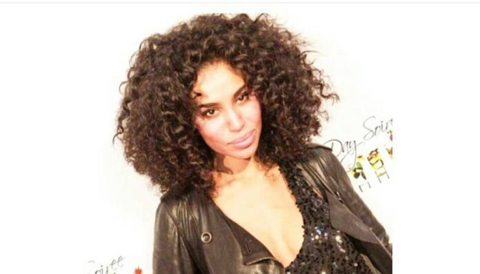 V.Stiviano Net Worth V.Stiviano Net Worth